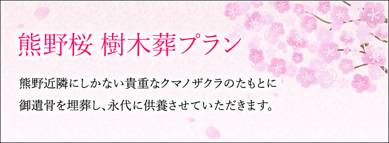 やすらぎの杜 熊野桜 樹木葬