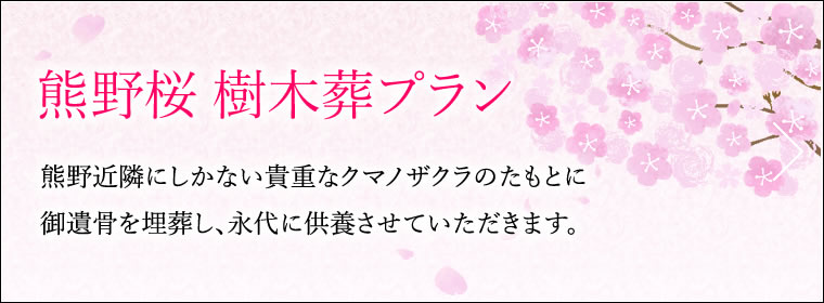 熊野近隣にしかない貴重なクマノザクラのたもとに御遺骨を埋葬し、永代に供養させていただきます。